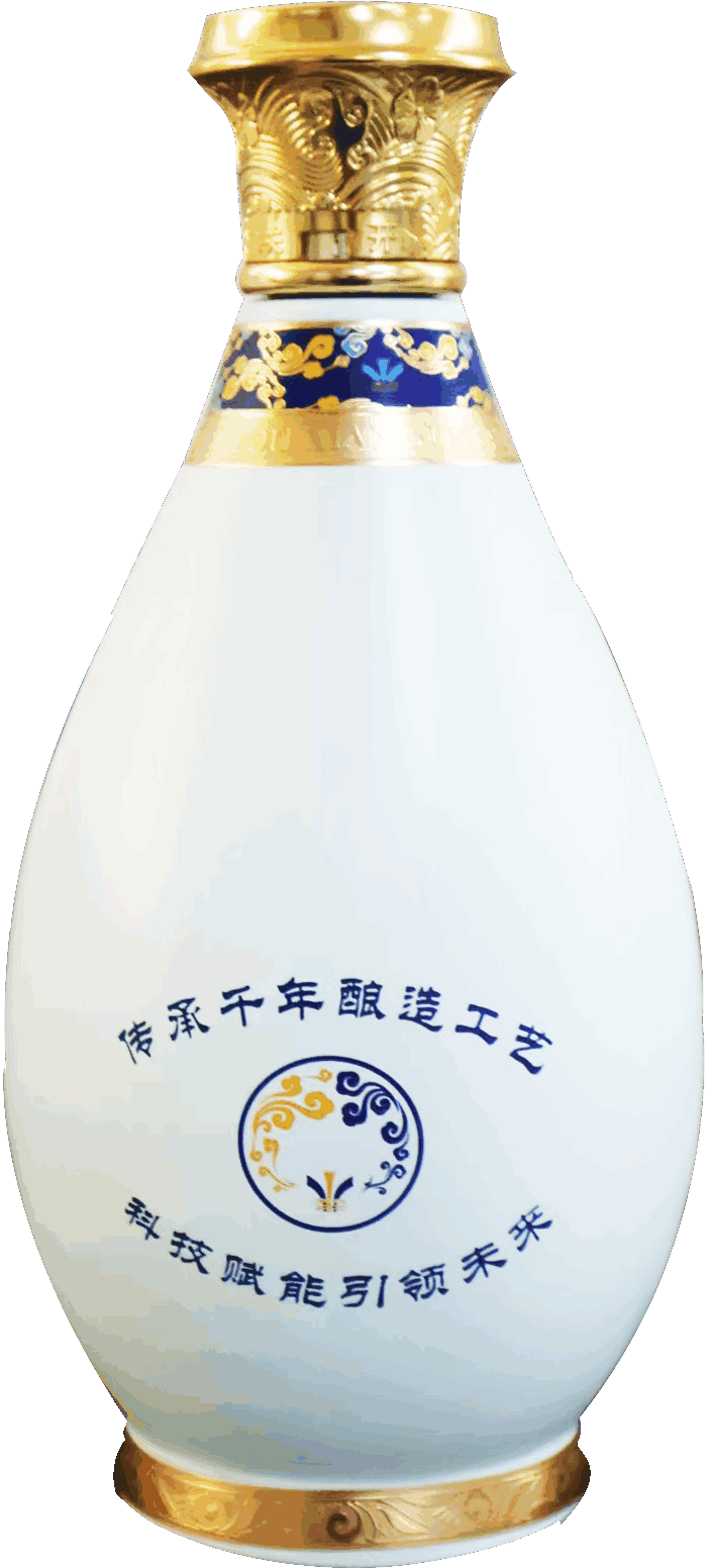 丹江渠首详情图